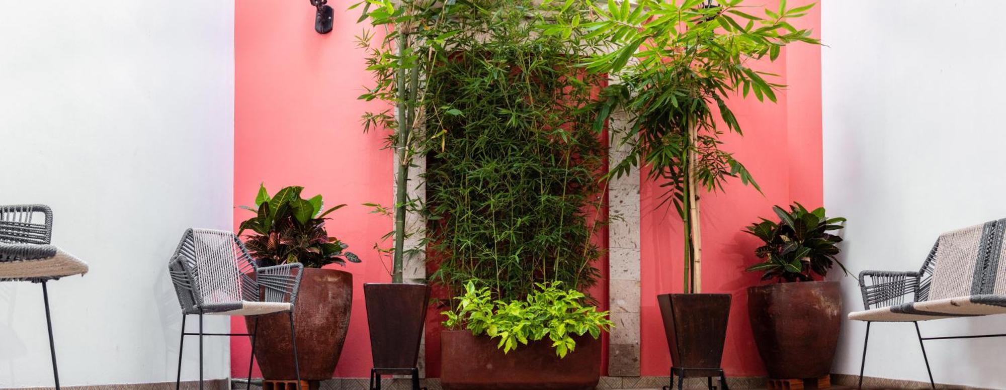 Nueve Agaves Hotel Tequila Exterior photo